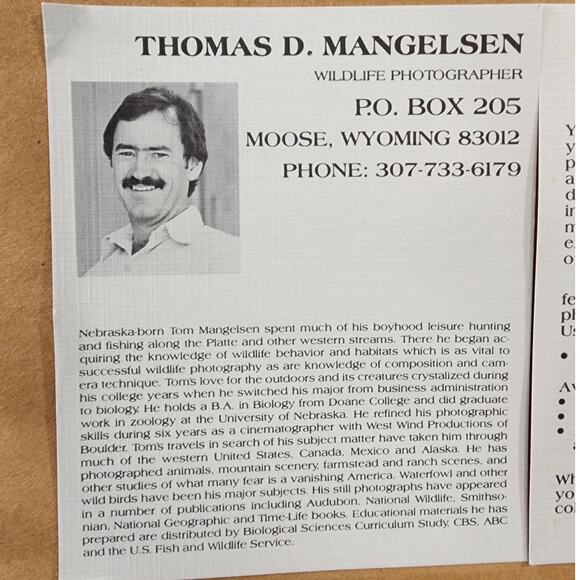 Thomas D. Mangelsen Collector Edition Print of Sandhill Cranes Images of Nature - Picture 8 of 15